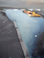 Urban reflection: residential block and parked cars mirrored in rainwater puddle on Cremona street