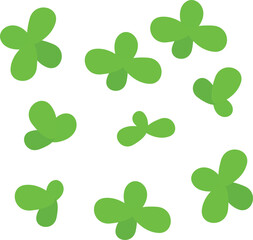 Fototapeta premium common duckweed or lesser duckweed Leaves Illustration