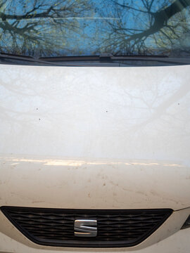 Close-up Front View of a White 2012-2017 SEAT Ibiza IV (6J) Hatchback Featuring a Black Grille with the SEAT Logo, Reflecting Bare Trees in the Windshield Glass