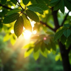 Golden sunlight filters through lush canopy, blurred edges , sunlit leaves, pattern, green leaves