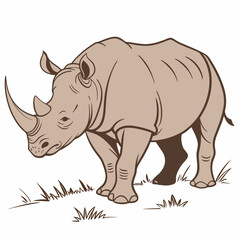 Obraz premium White back ground a brown colour Rhinoceros.