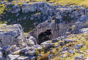 autumn sunny day, natural landscape, walk through the forest park with an overview of the area