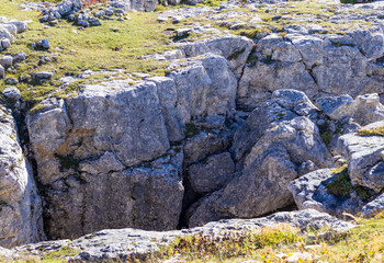 autumn sunny day, natural landscape, walk through the forest park with an overview of the area