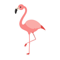Flamingo: The Elegant Pink Wader