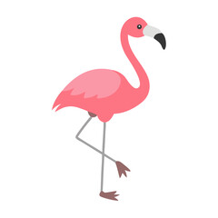 Flamingo: The Elegant Pink Wader
