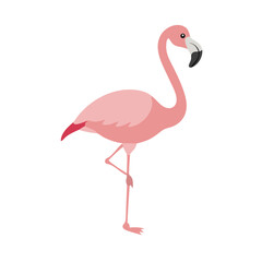 Flamingo: The Elegant Pink Wader
