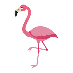 Flamingo: The Elegant Pink Wader