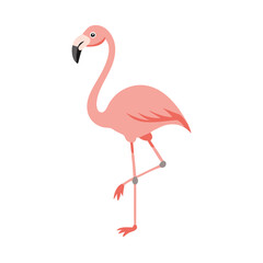 Flamingo: The Elegant Pink Wader