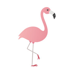 Flamingo: The Elegant Pink Wader
