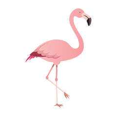 Flamingo: The Elegant Pink Wader