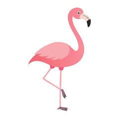 Flamingo: The Elegant Pink Wader