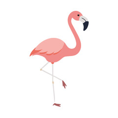 Flamingo: The Elegant Pink Wader