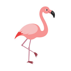 Flamingo: The Elegant Pink Wader