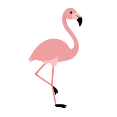 Flamingo: The Elegant Pink Wader