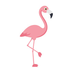 Flamingo: The Elegant Pink Wader