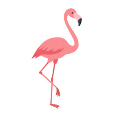 Flamingo: The Elegant Pink Wader