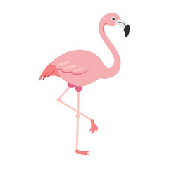 Flamingo: The Elegant Pink Wader