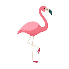 Flamingo: The Elegant Pink Wader