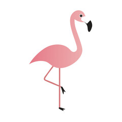 Flamingo: The Elegant Pink Wader