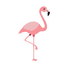 Flamingo: The Elegant Pink Wader