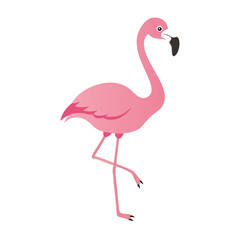 Flamingo: The Elegant Pink Wader