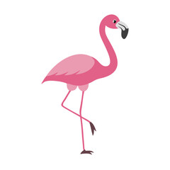 Flamingo: The Elegant Pink Wader