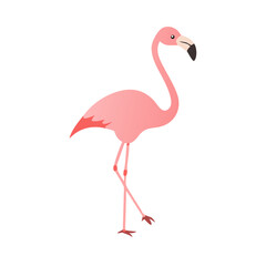 Fototapeta premium Flamingo: The Elegant Pink Wader