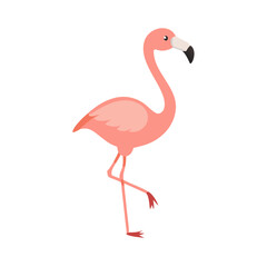 Flamingo: The Elegant Pink Wader
