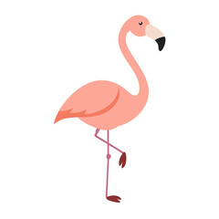 Flamingo: The Elegant Pink Wader