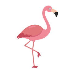 Fototapeta premium Flamingo: The Elegant Pink Wader