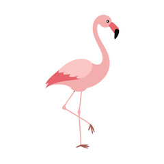 Fototapeta premium Flamingo: The Elegant Pink Wader