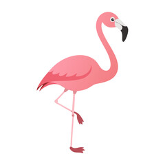 Flamingo: The Elegant Pink Wader