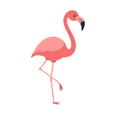 Flamingo: The Elegant Pink Wader