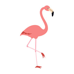 Flamingo: The Elegant Pink Wader