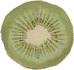 まるいキュウイ断面_横