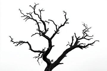 A stark silhouette of a barren tree against a white sky, evoking themes of solitude and nature