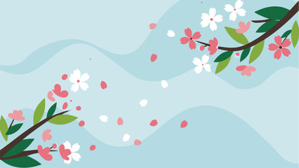 Delicate Cherry Blossoms and Petals Drifting on a Gentle Breeze