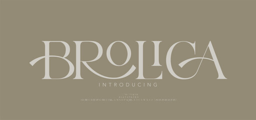Elegant alphabet beauty logo font. Classic beautiful Modern luxury Serif Letter Minimal Fashion. Typography decoration logotype fonts, wedding, logos. vector illustration