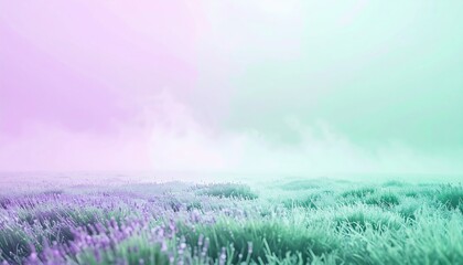 Tranquil lavender fields rural landscape nature photography misty environment wide-angle view serenity concept