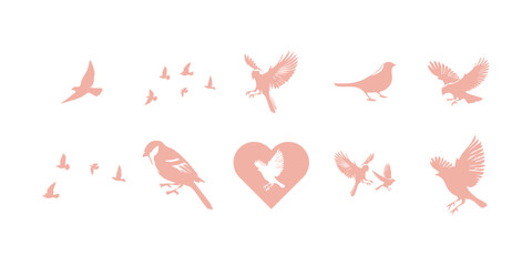Bird Silhouette Illustration Set