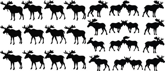 Elk moose bull mammal black silhouette animal. Vector Illustrator.
