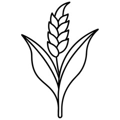 black and white leaves