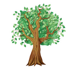 Detailed illustration of a majestic tree with lush green leaves and textured bark, symbolizing nature, growth, and environmental wellness.