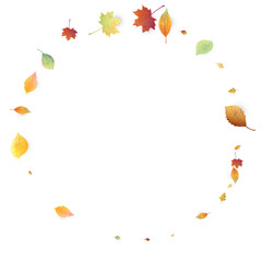 Leaves Falling Autumn Foliage Chaotic Leaf Flying