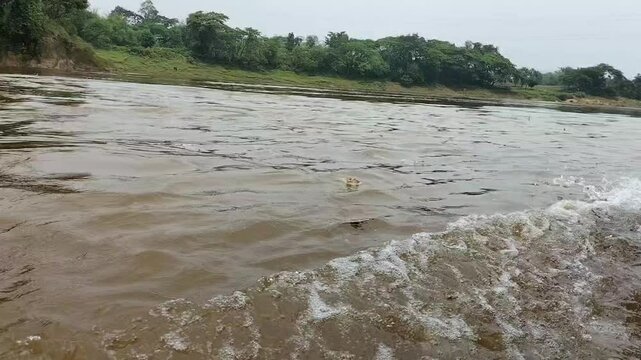 A beautiful nature. Green, trees, river, and jungle. Somewhere in Bangladesh.