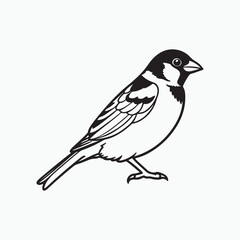 Obraz premium house sparrow bird silhouette vector