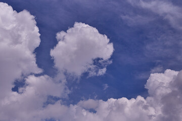 The sky is blue and clear with no clouds.