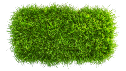 Rectangle of lush green grass, cut out transparent