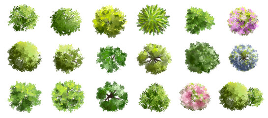 Vertor set of green tree,plants top view for landscape plan,schematic layout,eco environment concept design,watercolor greenery illustration,spring flower plan