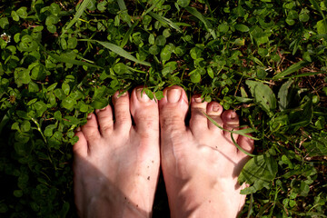 bare female feet on the green grass. lawn,